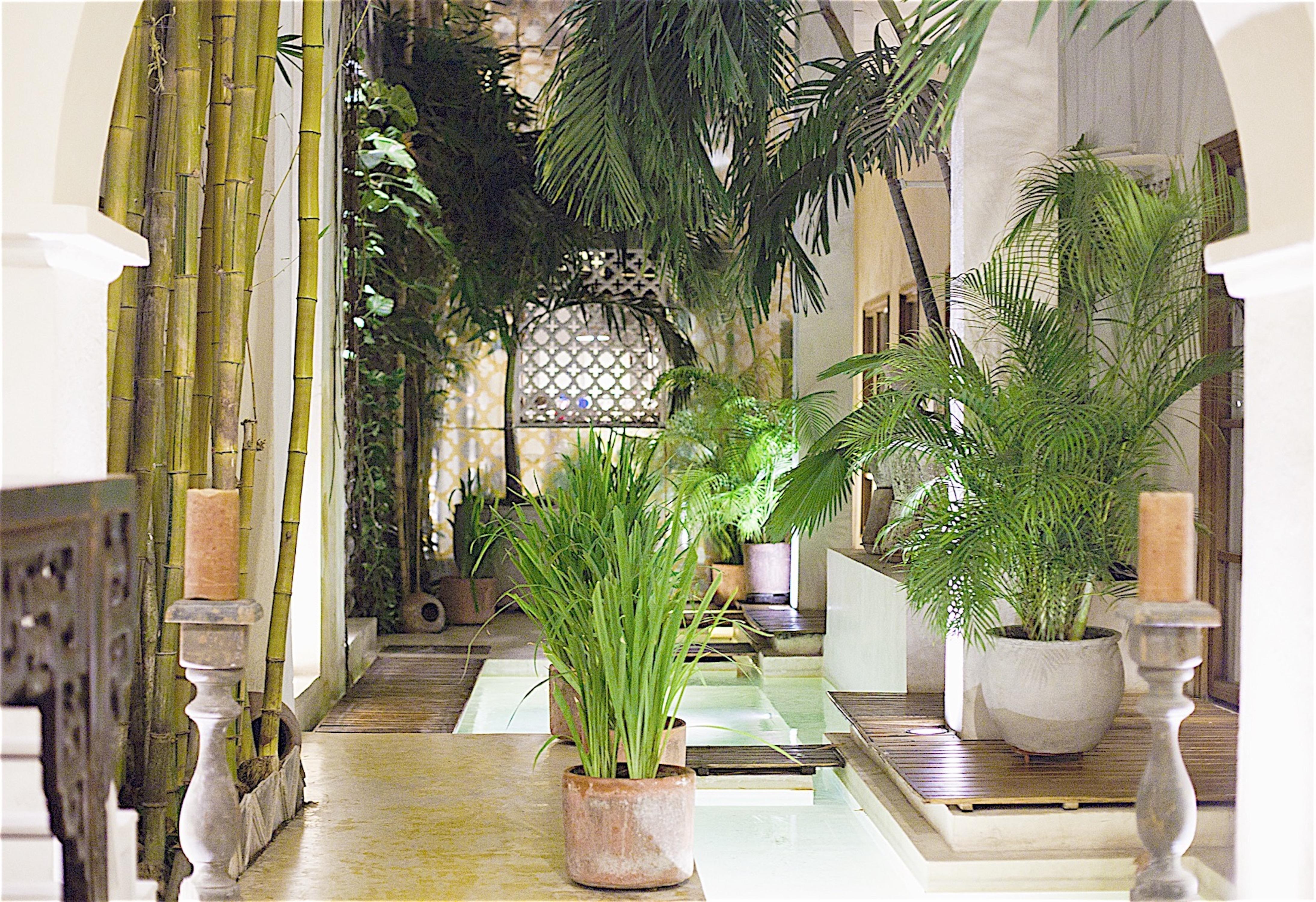 Hotel Casa Lola Deluxe Gallery Картахена Экстерьер фото